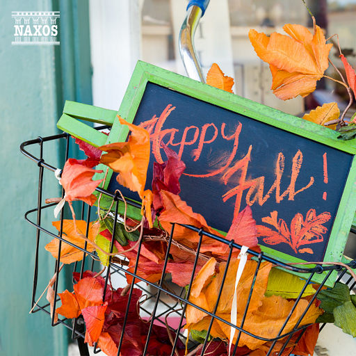 美女裸体十八禁免费网站
